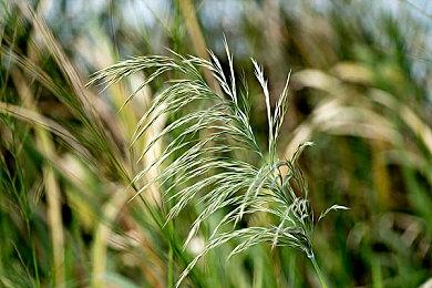 《无主之地4》新消息 疑似加入《动森》元素